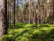 IMG_20240702_102320 Mittel