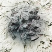 Roland_Hille_Kristalliner_Zwischenfall